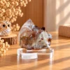 นกฮุก ริมโขง Online Store 7 ต.ค. 2569 13_51_06 แร่ควอตซ์ธรรมชาติ (Natural Quartz) พร้อมฐานอะคริลิก